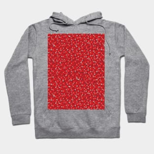 Fresh and Juicy Watermelon Seamless Surface Pattern Design Hoodie